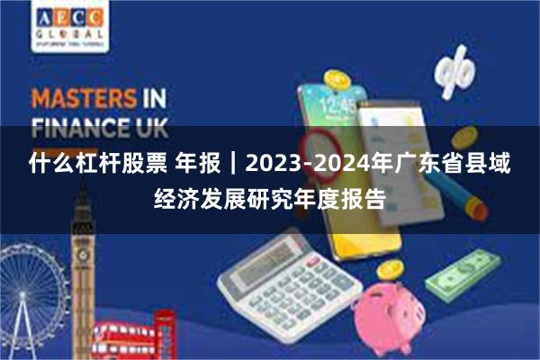什么杠杆股票 年报｜2023-2024年广东省县域经济发展研究年度报告