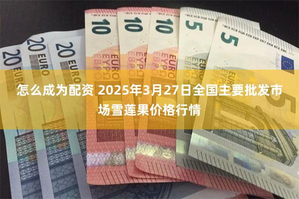 怎么成为配资 2025年3月27日全国主要批发市场雪莲果价格行情