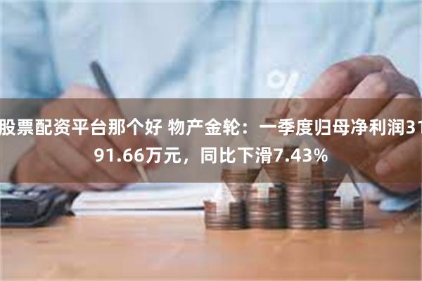 股票配资平台那个好 物产金轮：一季度归母净利润3191.66万元，同比下滑7.43%