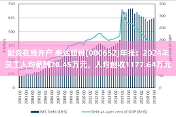 配资在线开户 泰达股份(000652)年报：2024年员工人均薪酬20.45万元，人均创收1177.64万元