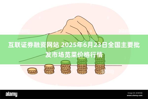 互联证劵融资网站 2025年6月23日全国主要批发市场苋菜价格行情
