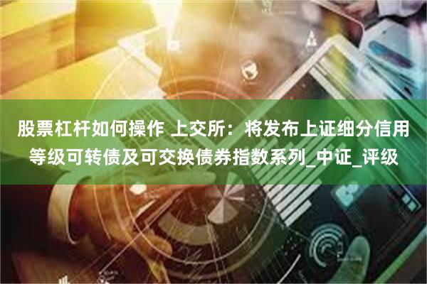 股票杠杆如何操作 上交所：将发布上证细分信用等级可转债及可交换债券指数系列_中证_评级