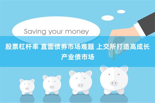 股票杠杆率 直面债券市场难题 上交所打造高成长产业债市场