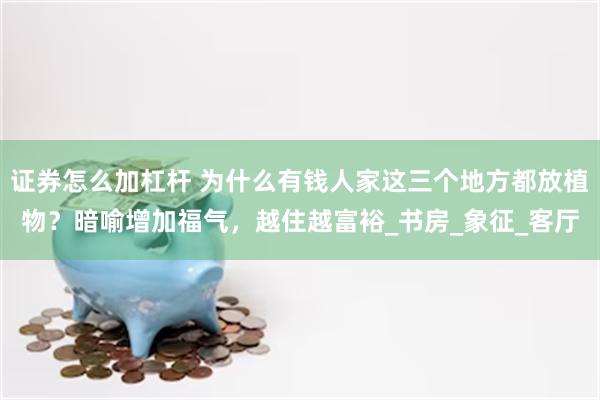 证券怎么加杠杆 为什么有钱人家这三个地方都放植物？暗喻增加福气，越住越富裕_书房_象征_客厅