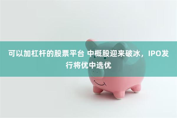可以加杠杆的股票平台 中概股迎来破冰，IPO发行将优中选优
