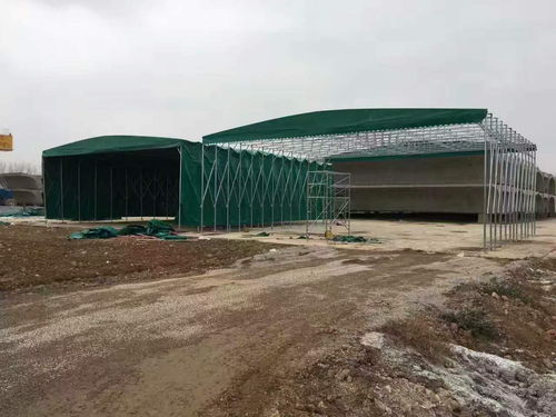 沙市區鋼架雨篷材料與太陽傘的應用與選擇指南